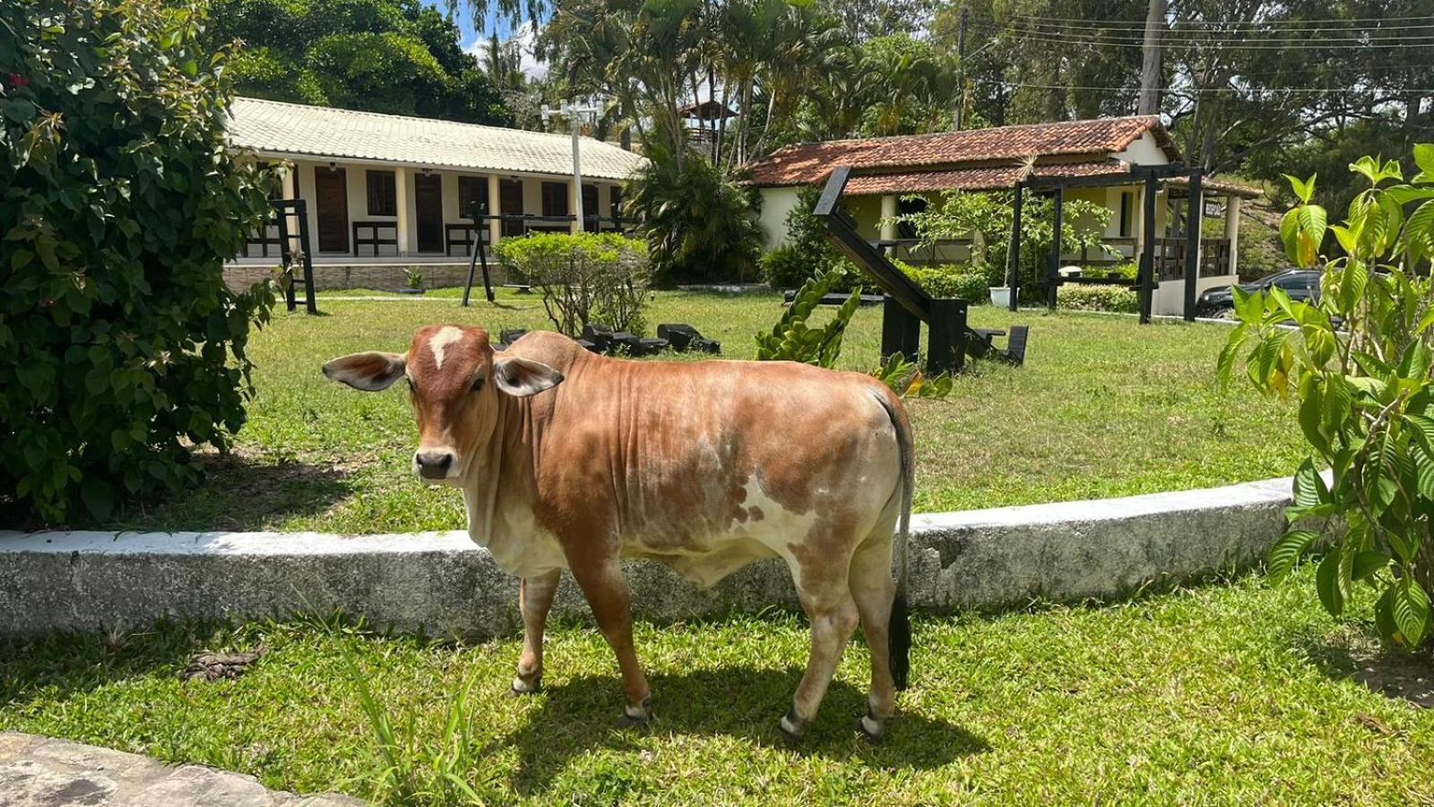 Hotel Fazenda Ceu Aberto غرافاتا المظهر الخارجي الصورة